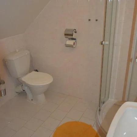 U Hradilu Guest house *
