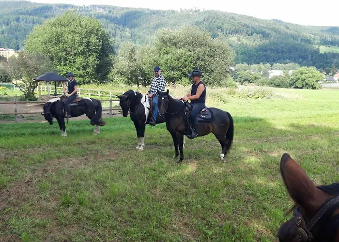 U Hradilu 게스트하우스 Vrbno pod Pradědem